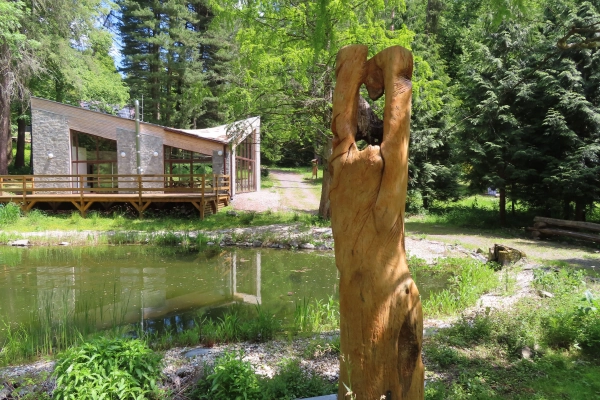 Lesnícke arborétum Kysihýbeľ 