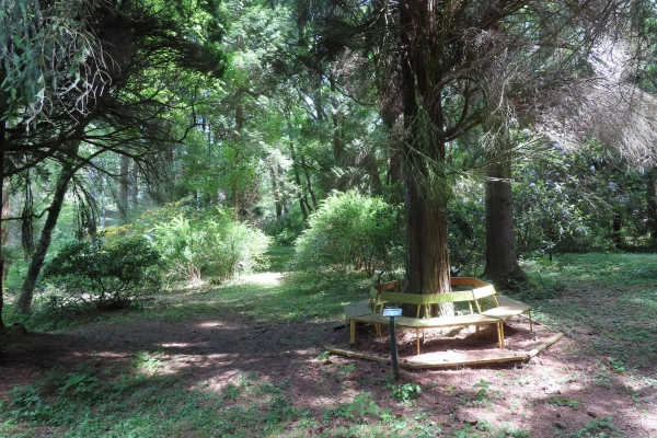Lesnícke arborétum Kysihýbeľ 