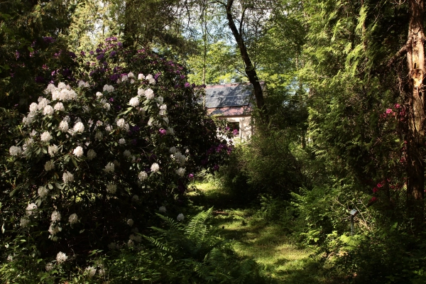 Lesnícke arborétum Kysihýbeľ 