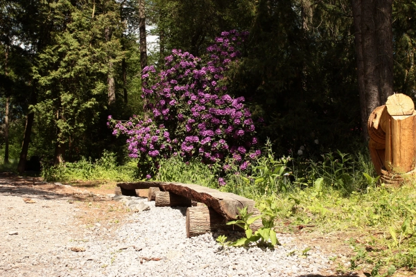 Lesnícke arborétum Kysihýbeľ 