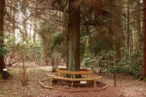 Lesnícke arborétum Kysihýbeľ 