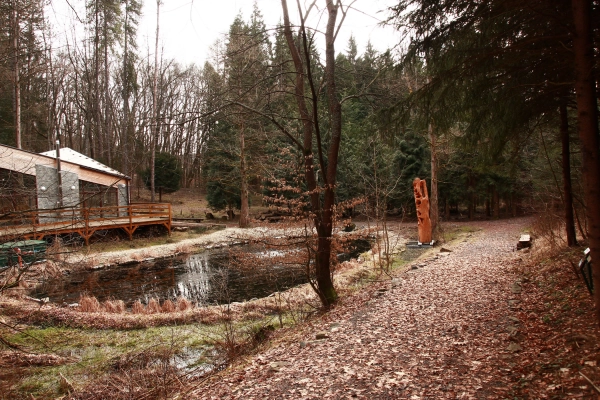 Lesnícke arborétum Kysihýbeľ 