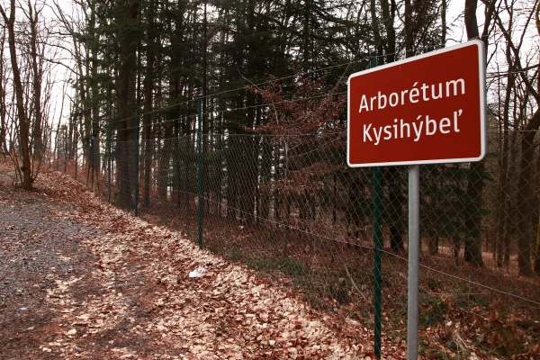 Lesnícke arborétum Kysihýbeľ 
