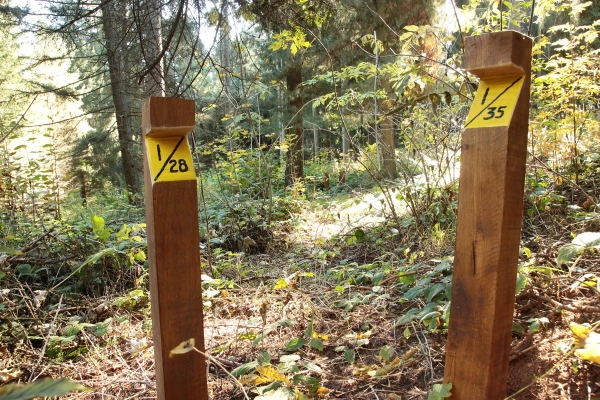 Lesnícke arborétum Kysihýbeľ 